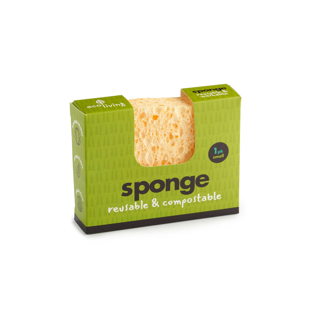 Compostable UK Sponge