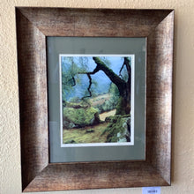 Load image into Gallery viewer, Thomas Creed Framed Prints
